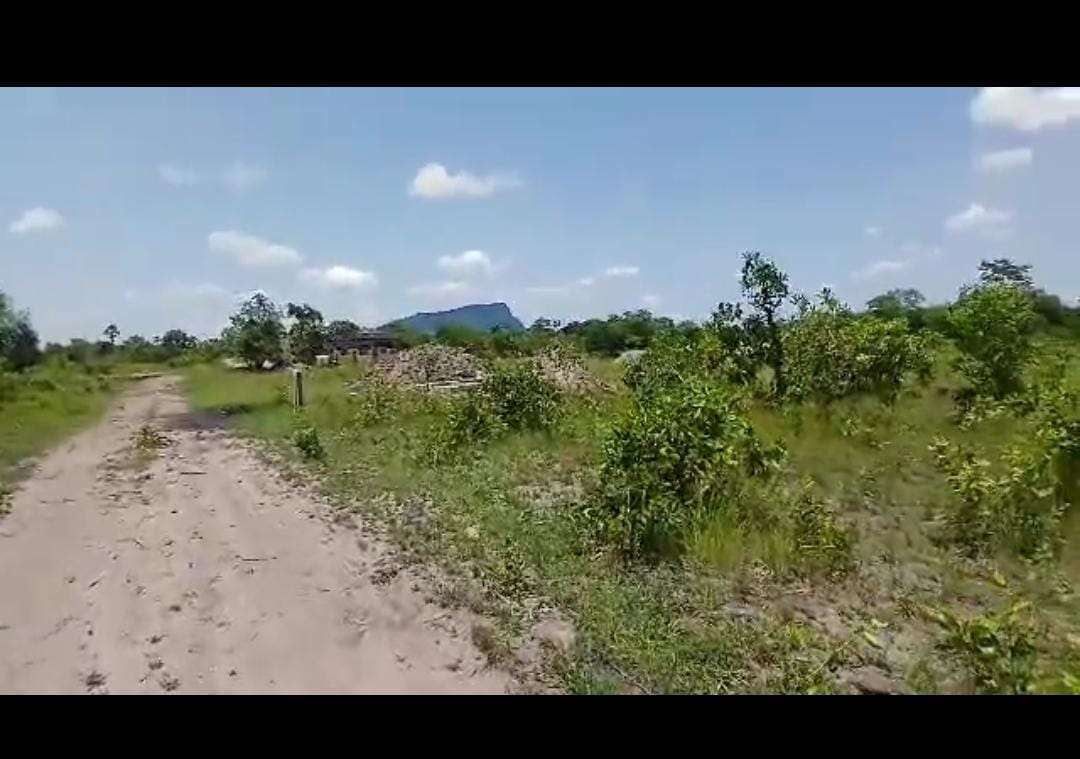 Amazing Plots of Land